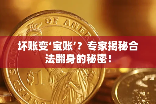 济南坏账变‘宝账’？专家揭秘合法翻身的秘密！
