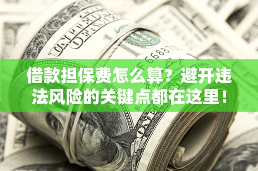 济南借款担保费怎么算？避开违法风险的关键点都在这里！
