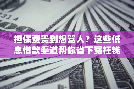 济南担保费贵到想骂人？这些低息借款渠道帮你省下冤枉钱