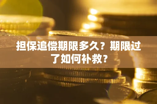 济南担保追偿期限多久？期限过了如何补救？
