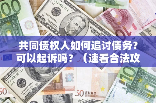 济南共同债权人如何追讨债务？可以起诉吗？（速看合法攻略）